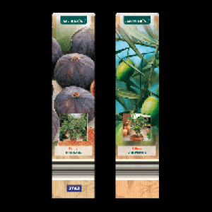 GARDENLINE Mediterrane Pflanze 3.29 €