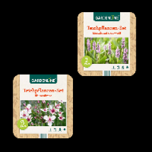 GARDENLINE Teichpflanzen-Set 2.99 €