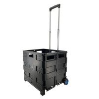 Aldi Süd  EASY HOME® Pack-and-Go-Trolley