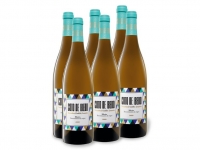 Lidl  6 x 0,75-l-Flasche Weinpaket Coto de Ibedo Ribeiro D.O. trocken, Weißw
