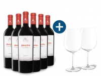 Lidl  6 x 0,75-l-Flasche Weinpaket Aragonia Garnacha Campo de Borja DOP troc