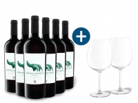 Lidl  6 x 0,75-l-Flasche Weinpaket VIAJERO Cabernet Sauvignon Gran Reserva V