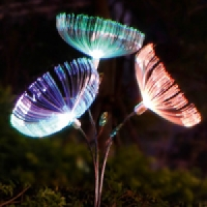 LED-Solar-Blume Dandelion 14.99 €