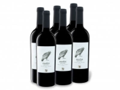 6 x 0,75-l-Flasche Weinpaket VIAJERO Merlot Gran Reserva Valle del Rap 26.99 €