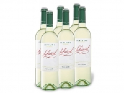 6 x 0,75-l-Flasche Weinpaket Salneval Rías Baixas Albarino DO trocken, 22.99 €