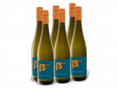 6 x 0,75-l-Flasche Weinpaket Christopher Deiß Riesling trocken, Weißwe