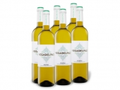 6 x 0,75-l-Flasche Weinpaket Vegadelpas Verdejo Rueda DO trocken, Weiß