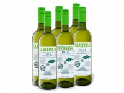 6 x 0,75-l-Flasche Weinpaket Chardonnay Puglia IGT trocken, Weißwein