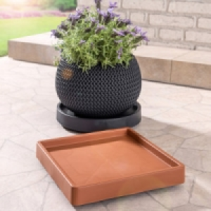 Pflanzenroller 6.99 €