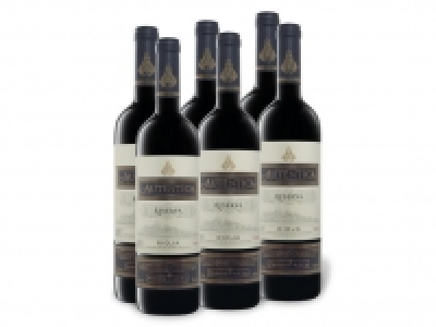 6 x 0,75-l-Flasche Weinpaket Autentica Rioja DOC Reserva trocken, Rotw