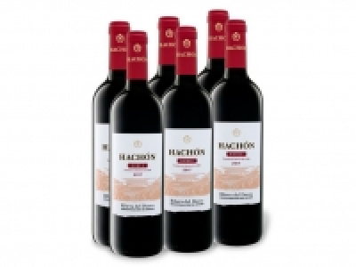 6 x 0,75-l-Flasche Weinpaket Hachón Roble Ribera del Duero DO trocken, 29.99 €