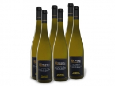 6 x 0,75-l-Flasche Weinpaket Giuseppe & Luigi Traminer Aromatico IGP t 29.99 €
