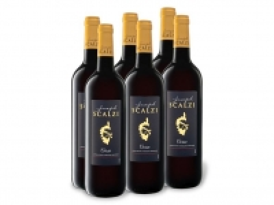 6 x 0,75-l-Flasche Weinpaket Corse Joseph Scalzi Corse AOP trocken, Ro 27.99 €