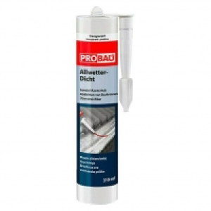 Probau Silikon Allwetter-Dicht 10.25 €