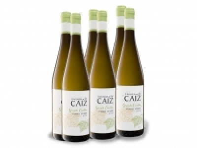 6 x 0,75-l-Flasche Weinpaket Encostas de Caiz Grande Escolha Vinho Ver