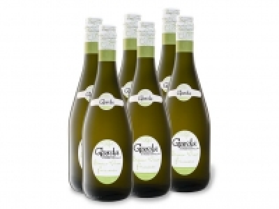 6 x 0,75-l-Flasche Weinpaket Garda DOC, Perlwein