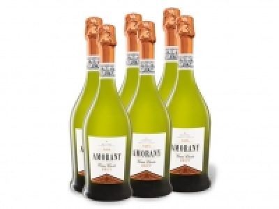 Lidl  6 x 0,75-l-Flasche Weinpaket Amorany Cava Gran Cuvée brut, Schaumwein