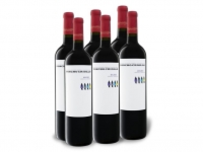 6 x 0,75-l-Flasche Weinpaket Poncho Criollo Mendoza Malbec halbtrocken 24.99 €