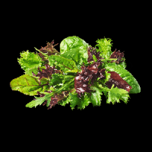 Pflücksalat 0.79 €