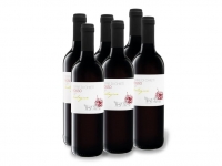 Lidl  6 x 0,75-l-Flasche Weinpaket Terre di Chieti Rosso Biologico IGP, Rotw