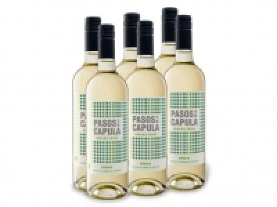 Lidl  6 x 0,75-l-Flasche Weinpaket BIO Pasos de la Capula Verdejo VdT trocke