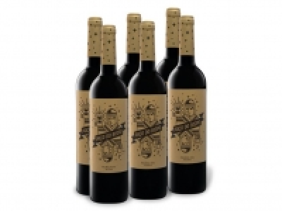 Lidl  6 x 0,75-l-Flasche Weinpaket Paço do Bispo Palmela DOC Reserva, Rotwei