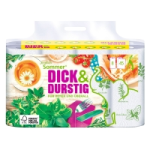 Aldi Süd  DICK&DURSTIG® Haushaltstücher Sommeredition