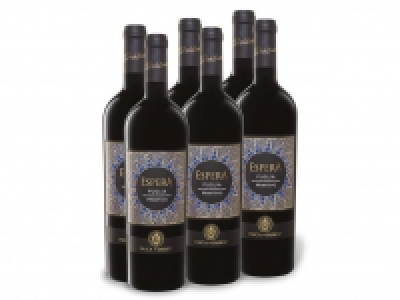 6 x 0,75-l-Flasche Weinpaket Duca di Sasseta Espera Primitivo Puglia I