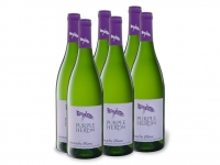 Lidl  6 x 0,75-l-Flasche Weinpaket Purple Heron Südafrika Grenache Blanc tro