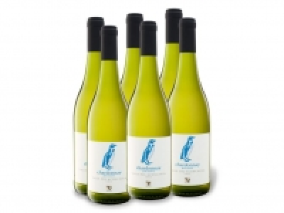 6 x 0,75-l-Flasche Weinpaket Chile Chardonnay Aconcagua trocken, Weißw