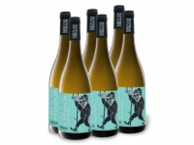 Lidl  6 x 0,75-l-Flasche Weinpaket Eira dos Cregos Albariño Rías Baixas DO t