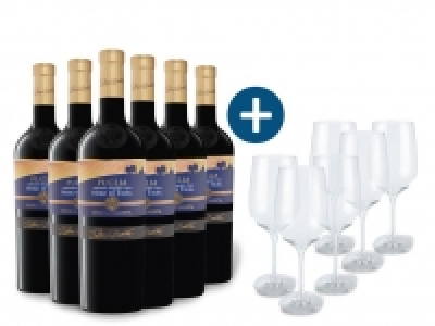 Lidl  6 x 0,75-l-Flasche Weinpaket Duca di Sasseta Nero di Troia Puglia IGT 