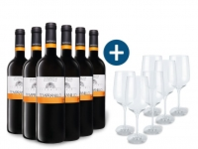 6 x 0,75-l-Flasche Weinpaket La Mancha Mezquiriz Tempranillo DO trocke