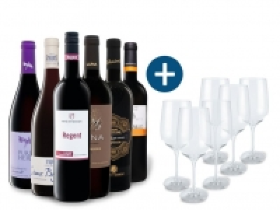 6 x 0,75-l-Flasche Weinpaket Entdecker Rot mit 6er Rotwein-Gläserset E