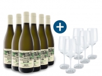 Lidl  6 x 0,75-l-Flasche Weinpaket Vignamatta Bianco Veneto IGT halbtrocken,