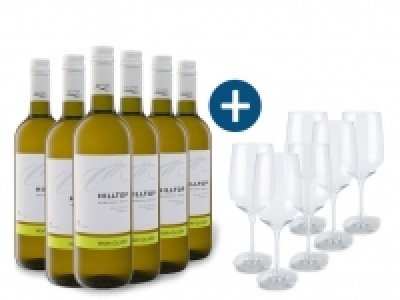 Lidl  6 x 0,75-l-Flasche Weinpaket Hilltop Irsai Olivér PGI trocken, Weißwei