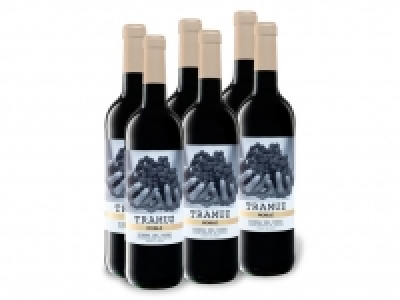 6 x 0,75-l-Flasche Weinpaket Tramuz Ribera del Duero Roble DO trocken,