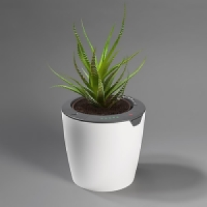 LazyLeaf Blumentopf selbstgießend 1,1l 17cm weiß/grau Micro-USB 1200mA 9.99 €