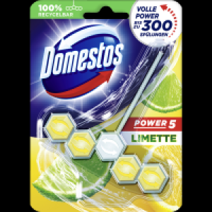 Rossmann Domestos WC-Stein Power 5 Limette