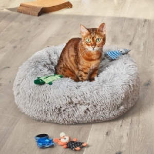 Katzenbett