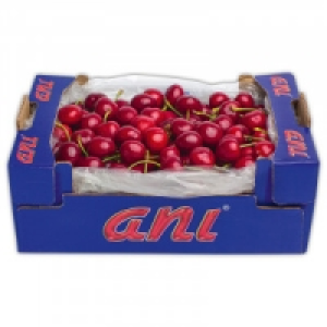 Premium Süßkirschen 10.99 €