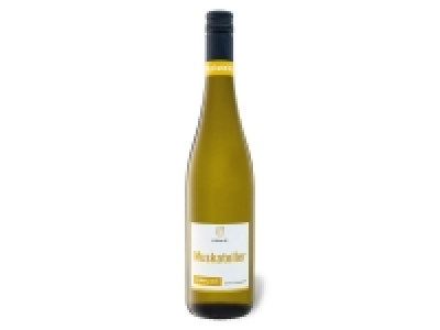 Muskateller Pfalz QbA lieblich, Weißwein 2020