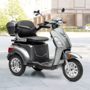 Elektro-Roller Bendi LI 20km/h grau