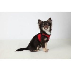 Puppia Geschirr Super Soft B (Step) Rot S