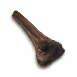 SavannaPet Straussen Tibia 1 Stück klein (Größe S)