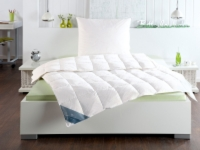 HÄUSSLING Dauneneinzieh-/Sommerdaunendecke 64.99 €