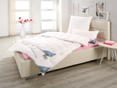 HÄUSSLING Daunen-Kassettenbettdecke medium 79.99 €