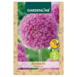 GARDENLINE® Allium-Zierlauch-Mischung 1.99 €