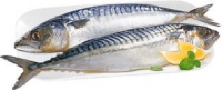 Makrele 0.79 €
