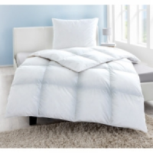 Kassettenbett 24.99 €